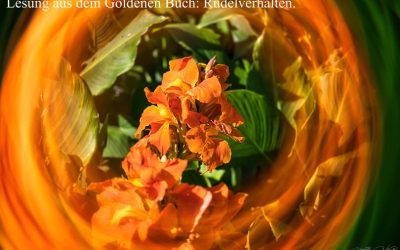Channeling: Rudelverhalten