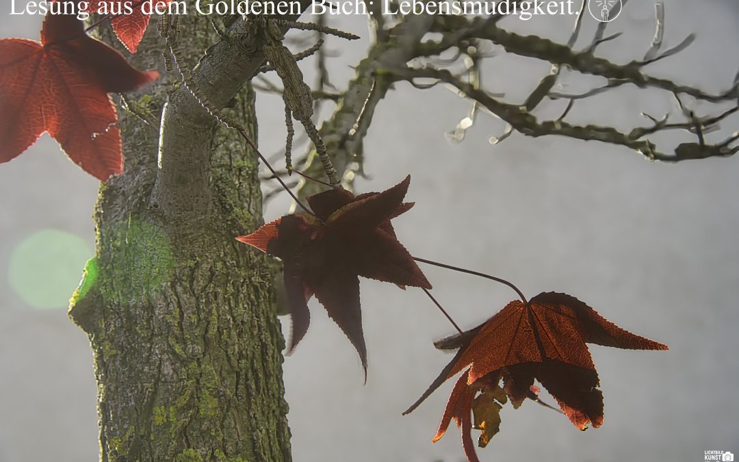 Lebensmüdigkeit und Resonanz