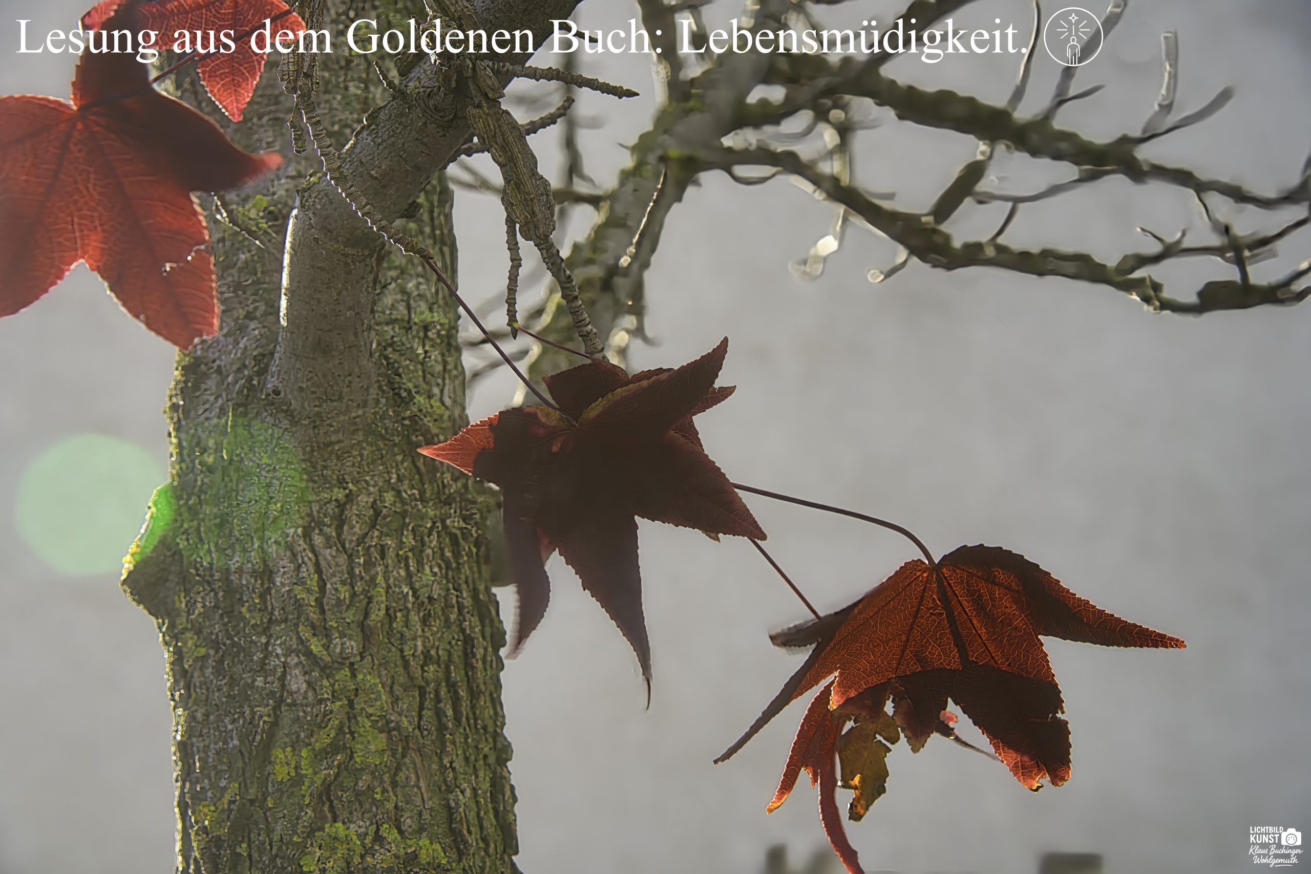 ©20251026_KlaBuWo_DSC01387