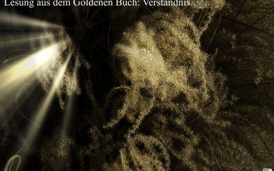 Warum du nicht Opfer bist, sondern Schöpfer – und was das mit dir zu tun hat